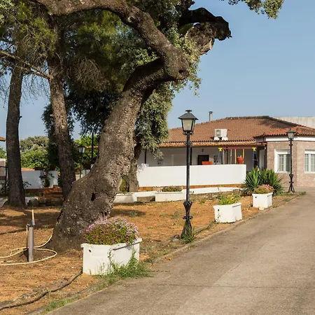 Casa El Abuelo Tomas قرطبة